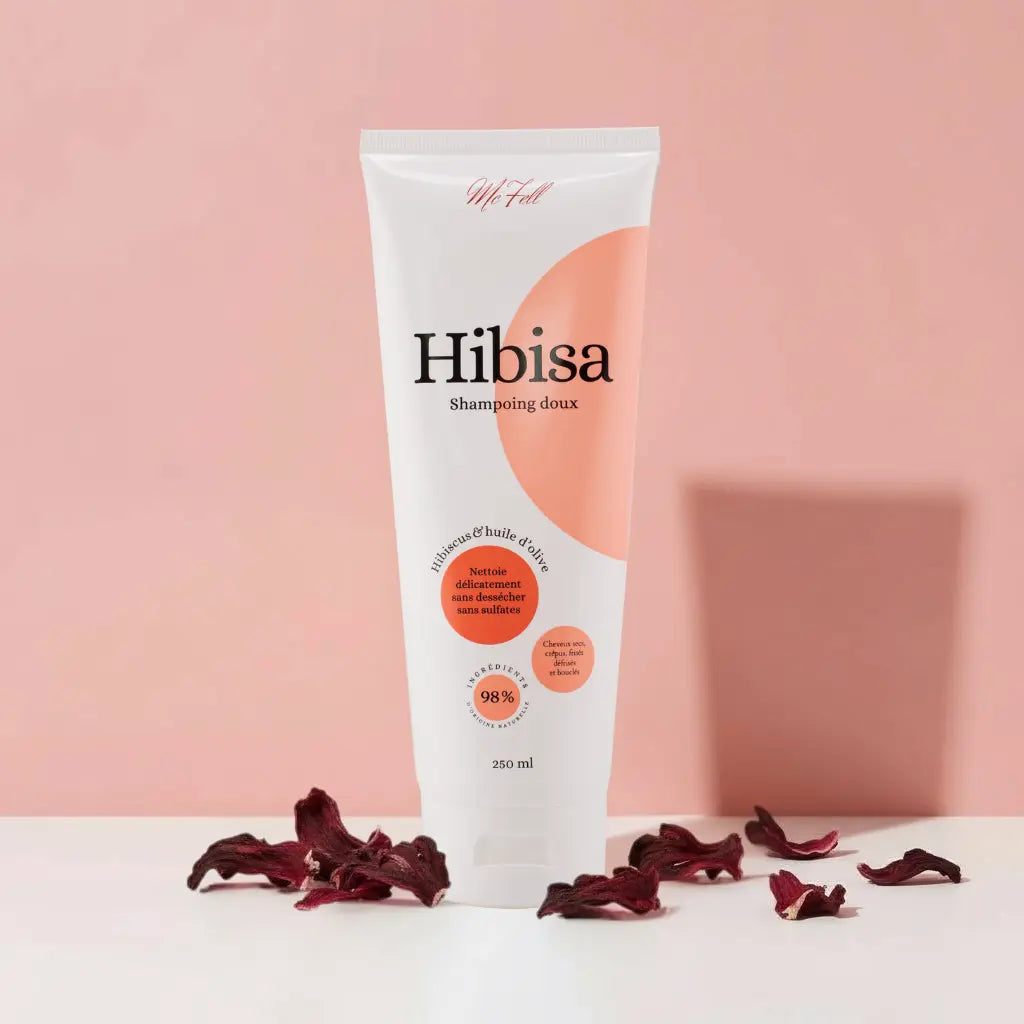 HIBISA artisanal (250ml) - Mc Fell